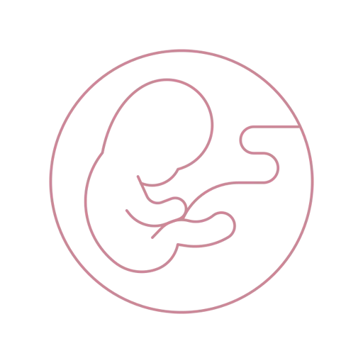 Εμβρυομητρική